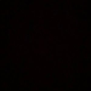 Meet your Posher, Jake